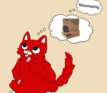 Kann Katzentoilette ein revolutionäres Hygienekonzept sein?