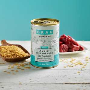 Grau Katze Lamm mit Vollkornreis