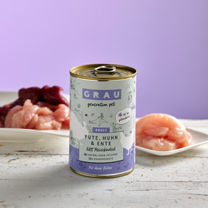 Grau Katze Pute, Huhn & Ente