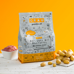 Grau Katze Geflügel mit Kartoffel