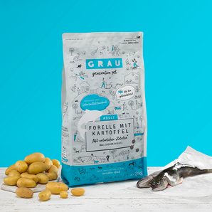 Grau Hund Forelle mit Kartoffel