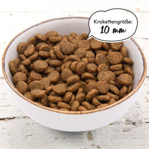 Grau Welpen Geflügel