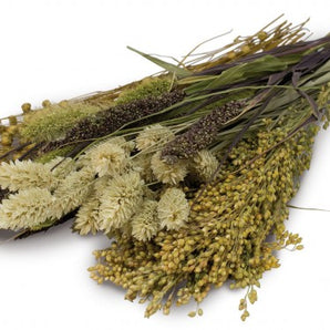 JR Nager Natur Snacks Knabber-Potpourri