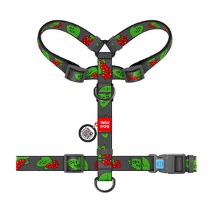 Hunde-H-Geschirr Collar WAUDOG Nylon "Guelder rose" mit QR-Pass