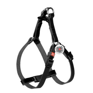 Ledergeschirr Collar WAUDOG Classic mit QR-Pass,XS,10mm,28-40 cm