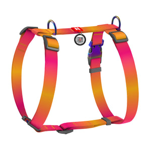 Hunde-H-Geschirr Collar WAUDOG Nylon Recycled mit QR-Pass, M, 20mm