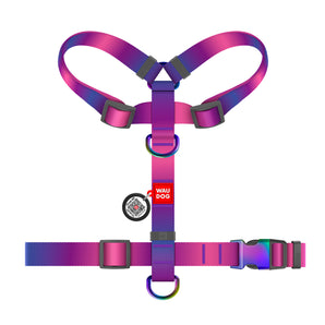 Hunde-H-Geschirr Collar WAUDOG Nylon Recycled mit QR-Pass, S, 15mm