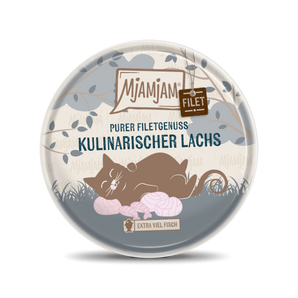 MjAMjAM Purer Filetgenuss kulinarischer Lachs
