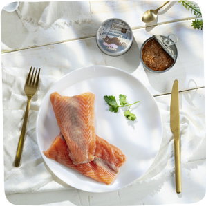 MjAMjAM Purer Filetgenuss kulinarischer Lachs