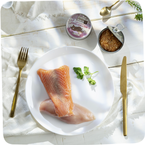 MjAMjAM Purer Filetgenuss zarter Lachs & Huhn