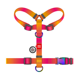 Hunde-H-Geschirr Collar WAUDOG Nylon Recycled mit QR-Pass, M, 20mm