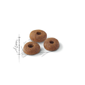 Royal Canin Fit