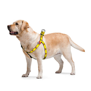 Hundegeschirr Collar WAUDOG Nylon "Superman 2" mit QR-Pass