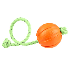 Hundespielzeug Collar LIKER Lumi Ball
