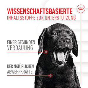 Royal Canin Puppy Immunity & Digestion Chews