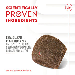 Royal Canin Digestion Chews