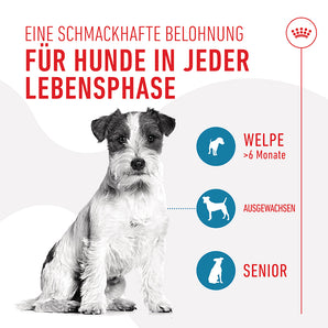 Royal Canin Training Treats