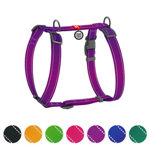 Hunde-H-Geschirr Collar WAUDOG Nylon Mono mit QR-Pass Lila