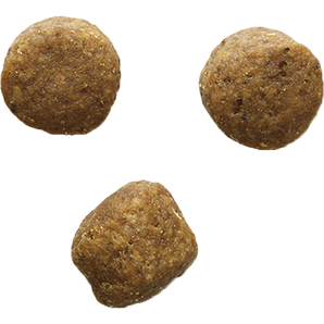 Bozita GRAIN FREE Elk