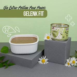Mac`s Dog Paw Power Smoothie Gelenk Fit