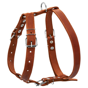 Ledergeschirr Collar  1-Ply Braun