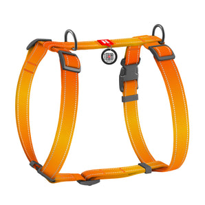 Hunde-H-Geschirr Collar WAUDOG Nylon Mono mit QR-Pass Orange