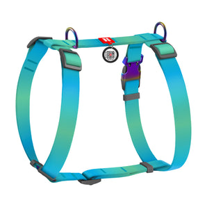 Hunde-H-Geschirr Collar WAUDOG Nylon Recycled mit QR-Pass, L, 25mm