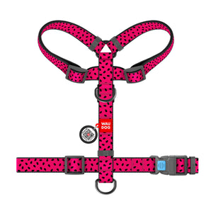 Hunde-H-Geschirr Collar WAUDOG Nylon "Watermelon" mit QR-Pass
