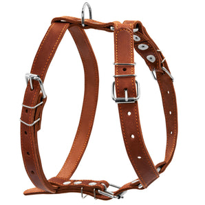 Ledergeschirr Collar  1-Ply Braun
