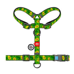 Hunde-H-Geschirr Collar WAUDOG Nylon "Avocado" mit QR-Pass