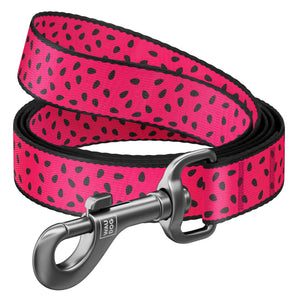 Hundeleine Collar WAUDOG Nylon "Watermelon", 122 cm
