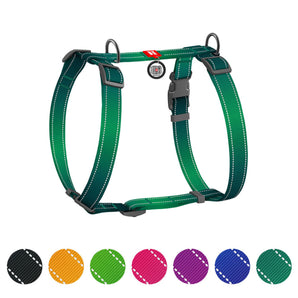 Hunde-H-Geschirr Collar WAUDOG Nylon Mono mit QR-Pass Grün