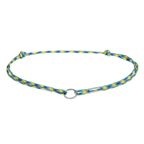 Smart ID Tieranhänger Collar WAUDOG Paracord-Halsband «Colors of freedom»