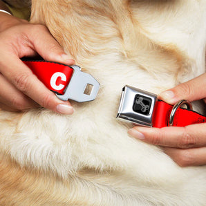 Buckle-Down Hundehalsband "CAUTION:Red/White"