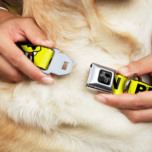 Buckle-Down Hundehalsband "CAUTION:Yellow/Black"