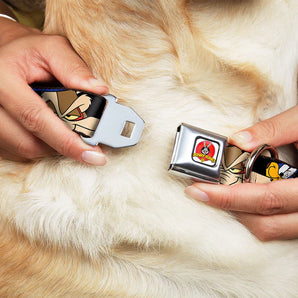 Buckle-Down Hundehalsband "Road Runner/Wile E. Coyote"