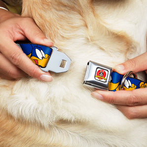 Buckle-Down Hundehalsband "Road Runner"