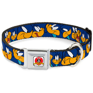 Buckle-Down Hundehalsband "Road Runner"