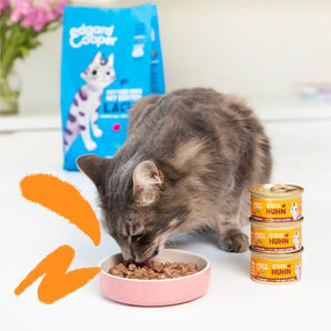 Edgard & Cooper Katze Stückchen in Sauce Huhn mit Cranberrys
