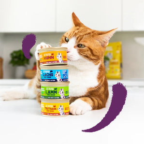 Edgard & Cooper Katze Stückchen in Sauce Lachs & Huhn mit Cranberrys