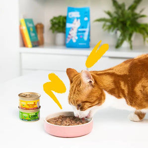 Edgard & Cooper Katze Stückchen in Sauce Lamm & Huhn mit Cranberrys