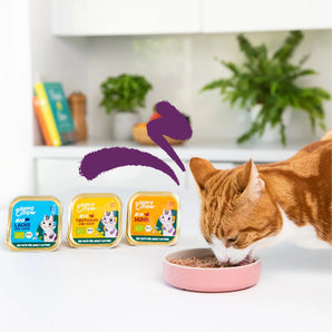 Edgard & Cooper Katze Bio Paté Lachs & Huhn mit Chiasamen