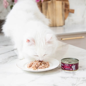 Edgard & Cooper Katze Filets Thunfisch & Huhn