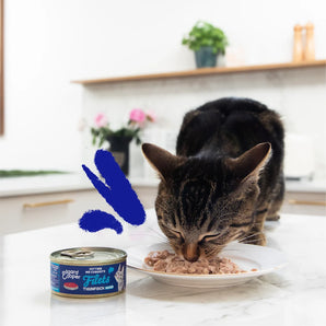 Edgard & Cooper Katze Filets Thunfisch Natur
