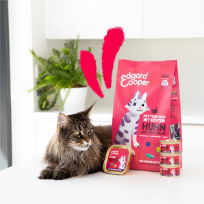 Edgard & Cooper Katze Senior Huhn & Truthahn mit Blaubeeren