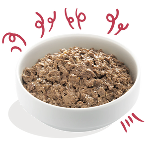 Edgard & Cooper Hund Adult Bio-Rind mit Bio-Kokosnuss
