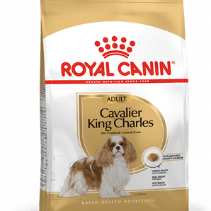 Royal Canin CAVALIER KING CHARLES ADULT