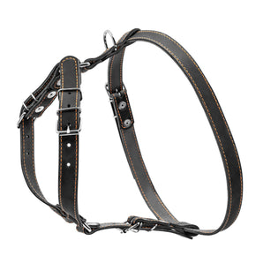 Ledergeschirr Collar  1-Ply Schwarz