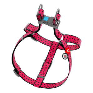 Hundegeschirr Collar WAUDOG Nylon "Watermelon" mit QR-Pass