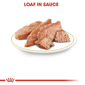 Royal Canin DACHSHUND ADULT Mousse